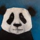 Panda Heidi Wickham