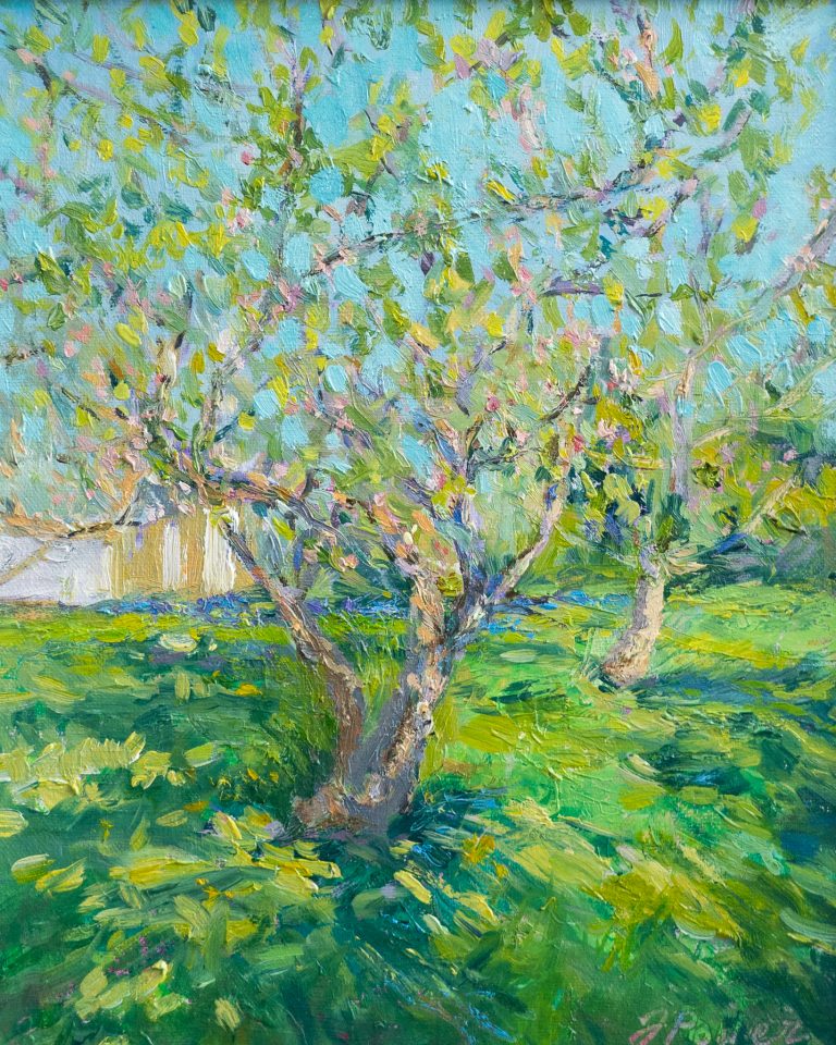 Apple Trees