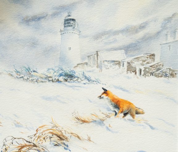 Phil Brennan nature lover watercolour artist birdwatching expert author and contemporary artist original Irish art beautiful Irish watercolour Interiors art and Interiors perfect piece of art unique