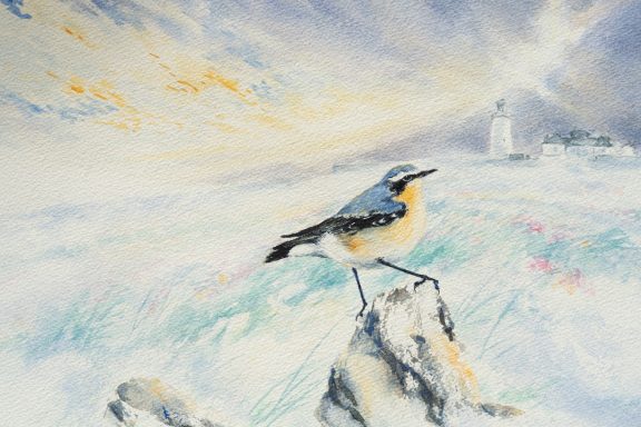 Phil Brennan nature lover watercolour artist birdwatching expert author and contemporary artist original Irish art beautiful Irish watercolour Interiors art and Interiors perfect piece of art unique