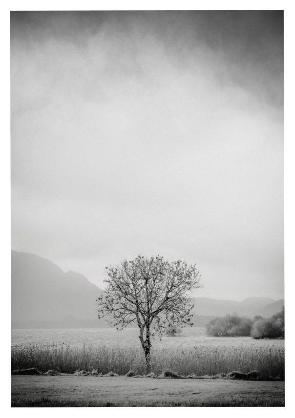 Rosie Prendiville Fine art photography beautiful scenic shot Ireland the burren co clare Irish art