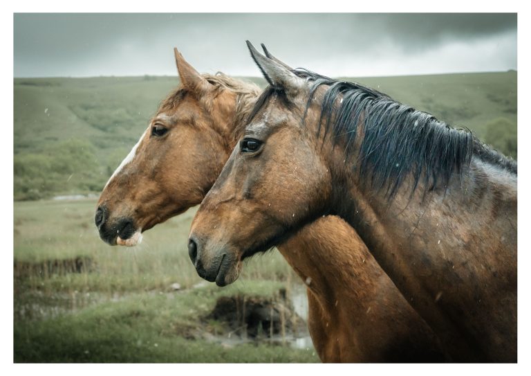 Rosie Prendiville Fine art photography beautiful scenic shot Ireland the burren co clare Irish art