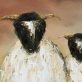 Padraig McCaul original Irish art oil painting Ireland sheep beautiful piece of original Irish art Ireland Irish art Kilbaha Gallery landscape West of Ireland WAW Interior Design modern homes