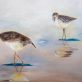 Mary Rose Keane Original Irish art painting ethereal beautiful atmospheric paintings birds water Ireland Irish art Kilbaha Gallery Large scale pieces Interior design Irish Interiors Kilbaha