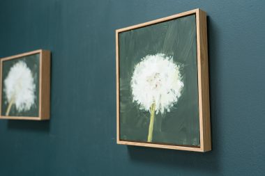 Kaye Maahs Beautiful dandelion lifecycle RHA RA London Irish artist Original Irish art beautiful collectable work Ireland painting artist Ireland Interiors contemporary homes modern spaces Kilbaha Gallery flowers