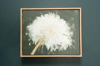 Kaye Maahs Beautiful dandelion lifecycle RHA RA London Irish artist Original Irish art beautiful collectable work Ireland painting artist Ireland Interiors contemporary homes modern spaces Kilbaha Gallery flowers