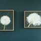 Kaye Maahs Beautiful dandelion lifecycle RHA RA London Irish artist Original Irish art beautiful collectable work Ireland painting artist Ireland Interiors contemporary homes modern spaces Kilbaha Gallery flowers