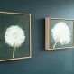 Kaye Maahs Beautiful dandelion lifecycle RHA RA London Irish artist Original Irish art beautiful collectable work Ireland painting artist Ireland Interiors contemporary homes modern spaces Kilbaha Gallery flowers