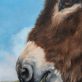 Rebekah van Kan Donkey beautiful oil painting blue skies brown donkey Irish art original art Interiors animals Kilbaha Gallery painting