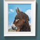 Rebekah van Kan Donkey beautiful oil painting blue skies brown donkey Irish art original art Interiors animals Kilbaha Gallery painting