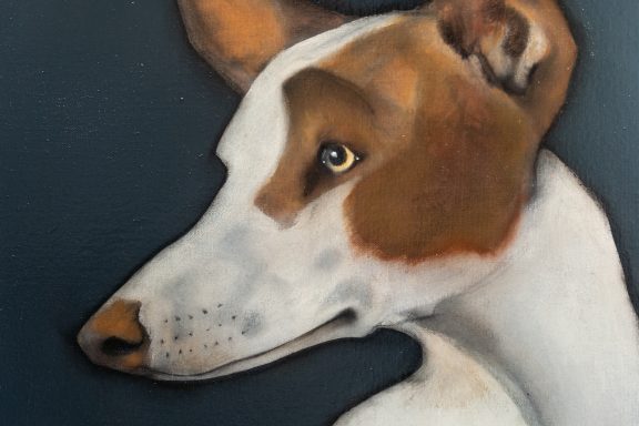 Heidi Wickham dog on black beautiful painting in acrylics original Irish art terrier dog face Irish art and Interiors beautiful homes gorgeous spaces contemporary art kilbaha gallery