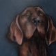 Heidi Wickham dog painting Ireland Irish art Original Irish art painting acrylics on canvas Irish interiors Kilbaha Gallery