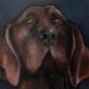 Heidi Wickham dog painting Ireland Irish art Original Irish art painting acrylics on canvas Irish interiors Kilbaha Gallery