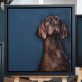 Heidi Wickham dog painting Ireland Irish art Original Irish art painting acrylics on canvas Irish interiors Kilbaha Gallery