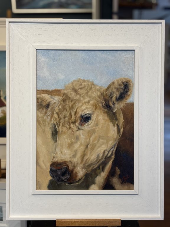 Rebekah van Kan coy cow painting oil on canvas stunning original work painting of cow painting animal art contemporary work of art Kilbaha Gallery Ireland Irish Interiors farming