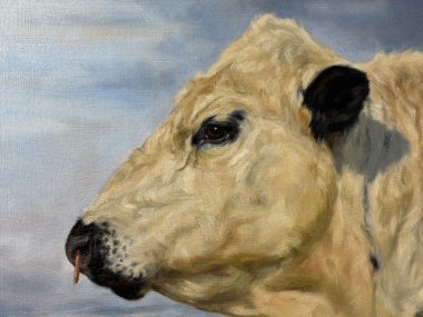 Rebekah van Kan original Irish art farming agriculture animals bull painting Irish interiors