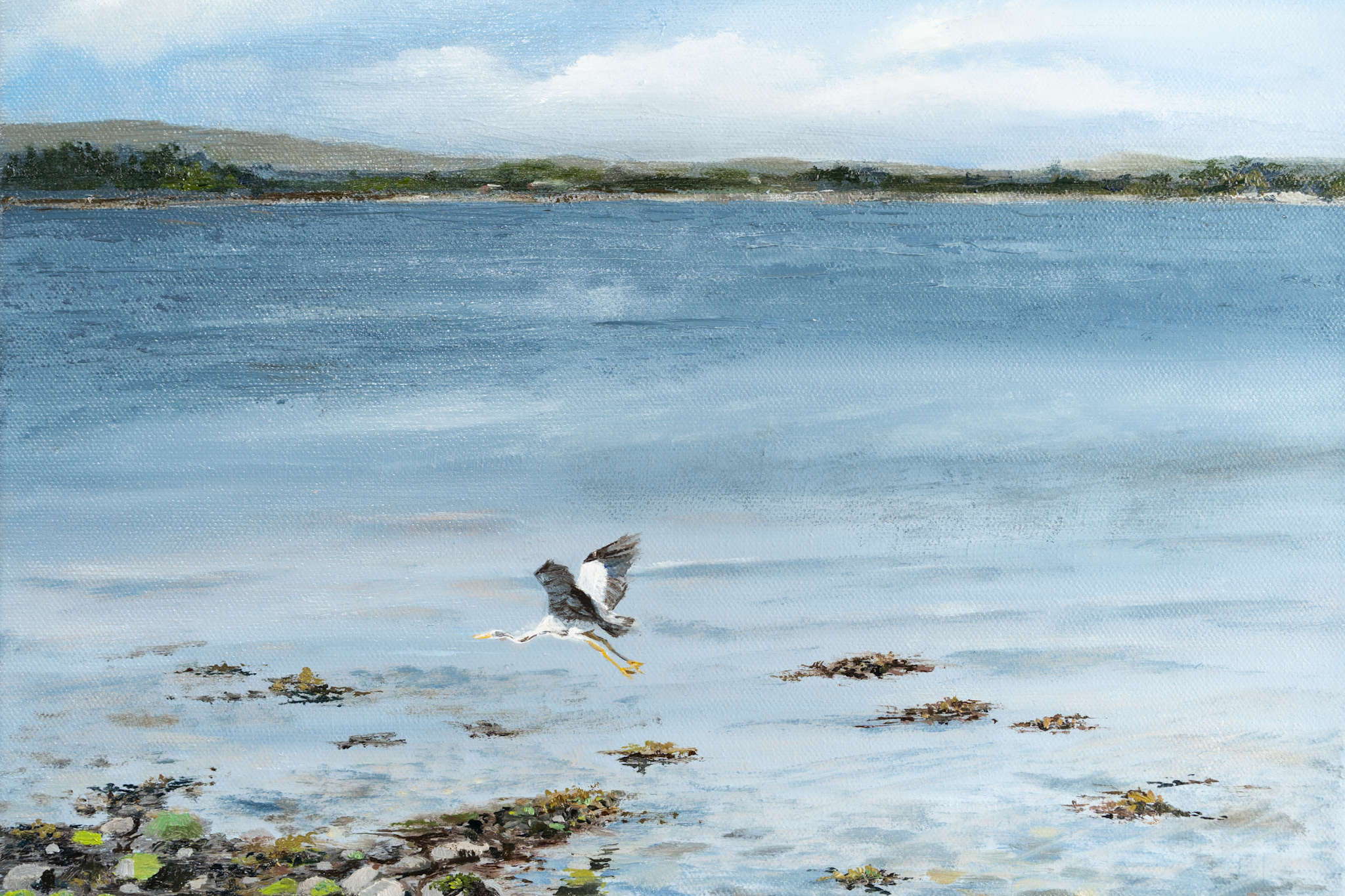 beautiful painting Ireland Kilbaha Gallery Birdwatch Ireland Birds Heron Seabird Blue Seascape